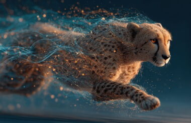 Wie viel Standardisierung braucht KI-gestützte Radiologie